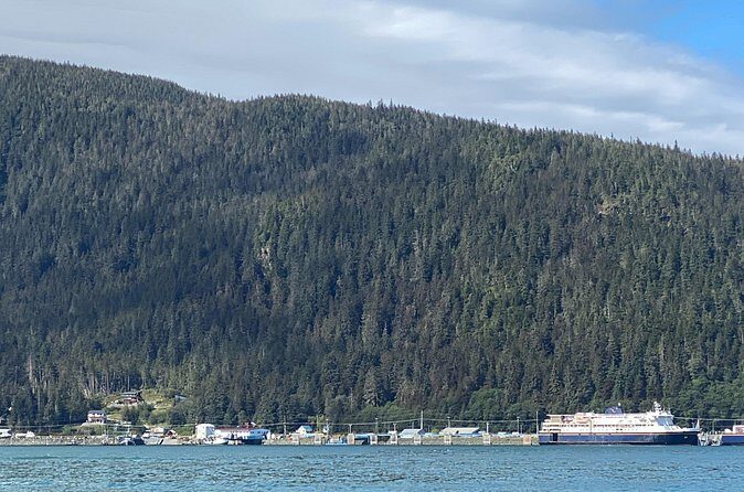 Mendenhall Glacier Waterfall and Whale Watching Tour - The Sum Up: Is This Tour for You?