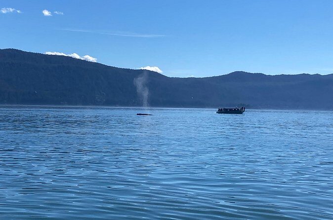 Mendenhall Glacier Waterfall and Whale Watching Tour - Frequently Asked Questions