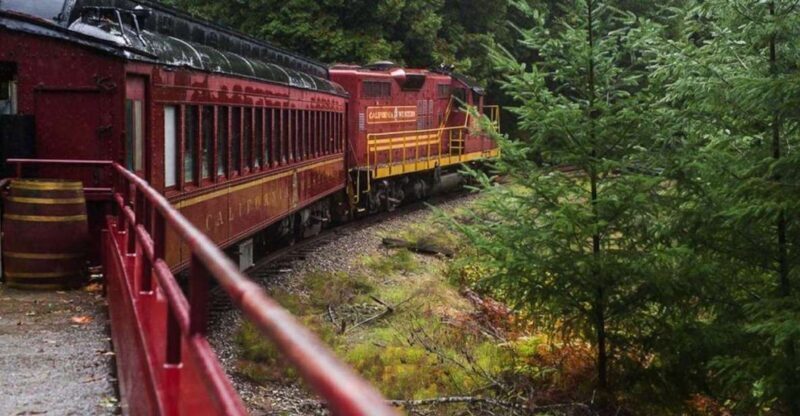 Mendocino County: Skunk Train Wolf Tree Turn Train Ride - Mendocino County: Skunk Train Wolf Tree Turn Train Ride — Authentic Redwoods and Historic Charm