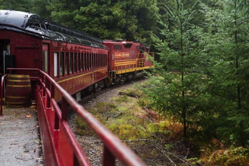 Mendocino County: Skunk Train Wolf Tree Turn Train Ride - Key Points