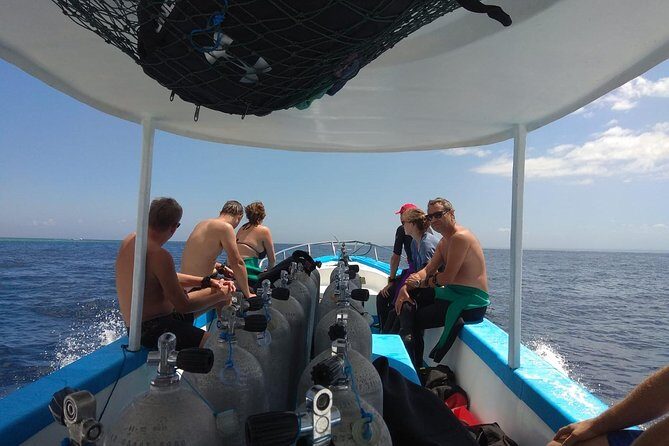Menjangan island snorkeling full day boat trip - Who This Tour Is Best For