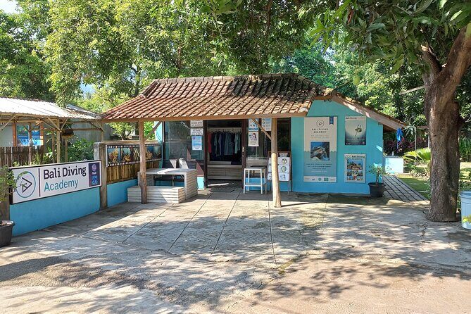 Menjangan island snorkeling full day boat trip - The Sum Up: A Solid Choice for Marine Adventure Seekers