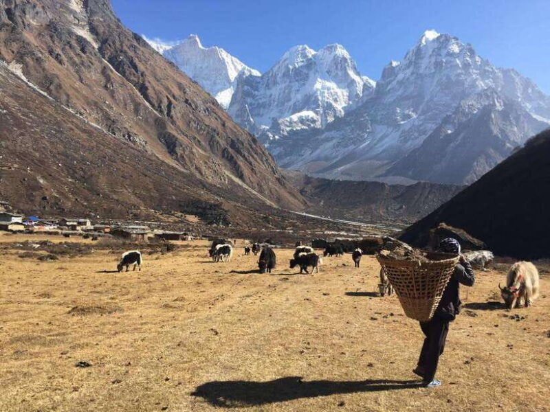 Mera peak trek - An In-Depth Look at the Mera Peak Trek Experience