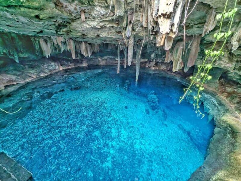 Mérida: 4 Majestic Cenotes Tour with Typical Lunch - Exploring the 4 Majestic Cenotes Near Mérida: An Authentic Yucatán Experience