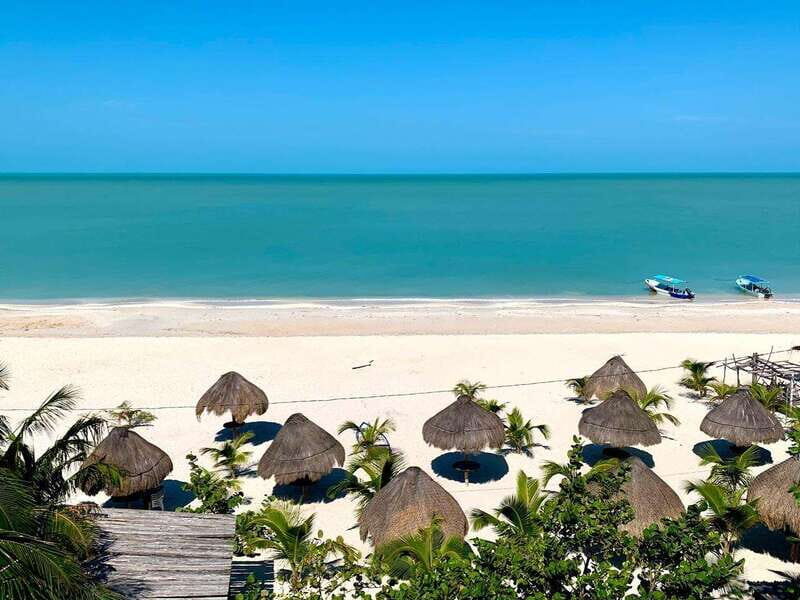 Merida: Celestun Boat Ride Mangrove Experience! Beach Time - The Sum Up