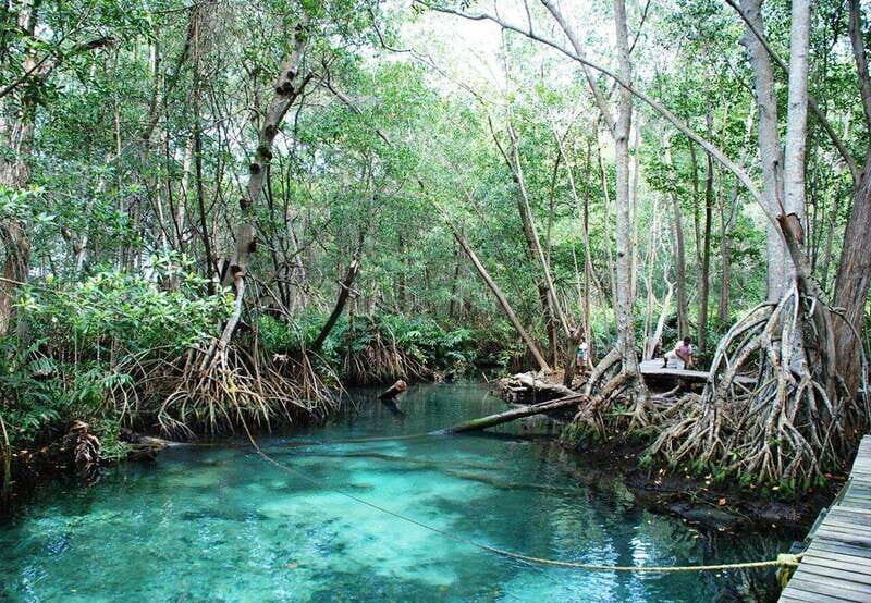 Merida: Celestun Boat Ride Mangrove Experience! Beach Time - FAQ