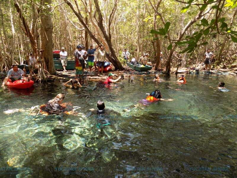 Merida: Kayaking and Bird Sanctuary in Sisal - FAQs