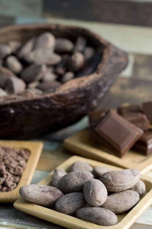 Mérida: Uxmal and Chocolate Museum Choco-Story - Itinerary Breakdown: What to Expect