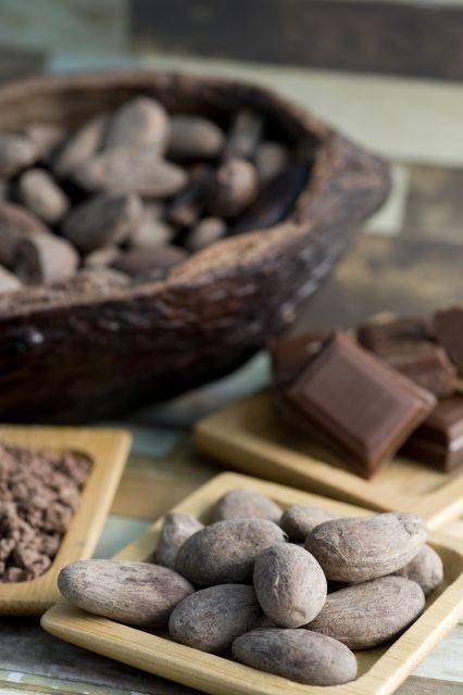 Mérida: Uxmal and Chocolate Museum Choco-Story - Transport and Group Size: Comfort and Intimacy