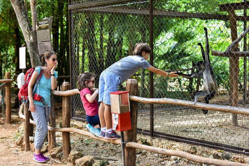 Mérida: Uxmal and Chocolate Museum Choco-Story - Reviews and What Travelers Say