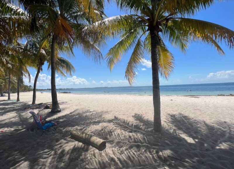 Mermaid Snorkel and Video Shoot - West Palm Beach - Key Points