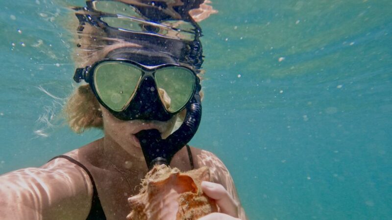 Mermaid Snorkel and Video Shoot - West Palm Beach - Is This Tour Worth the Price?