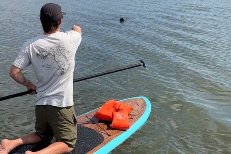 Merritt Island: Manatee Watching Paddle or Kayak Tour - Why This Tour Offers Great Value