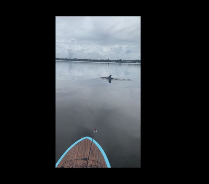 Merritt Island: Manatee Watching Paddle or Kayak Tour - Practical Considerations