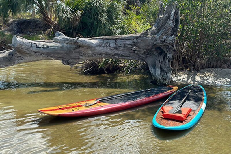 Merritt Island: Manatee Watching Paddle or Kayak Tour - The Sum Up