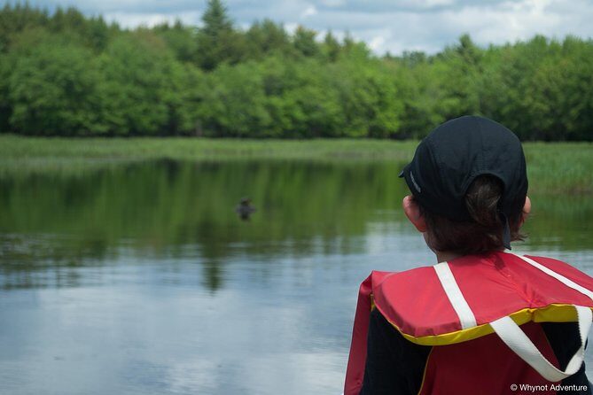 Mersey River Quickie Adventure - 2 Hours - The Experience: What to Expect During the Tour