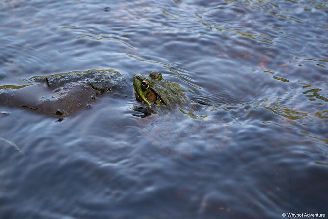 Mersey River Quickie Adventure - 2 Hours - Who Will Love This Tour?