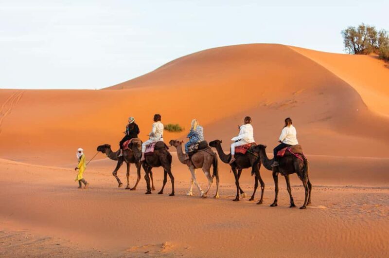 Merzouga: 1-Night in Desert Camp With Dinner & camel ride - FAQ