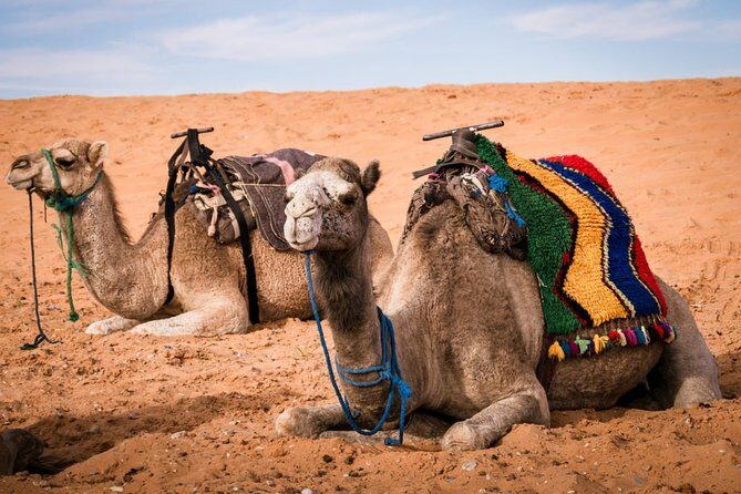 Merzouga 3-Days Desert Tour from Marrakech - What the Tour Offers: An In-Depth Look