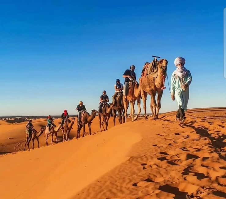 Merzouga : 3 days desert tour with camp stay, camel & food - Key Points