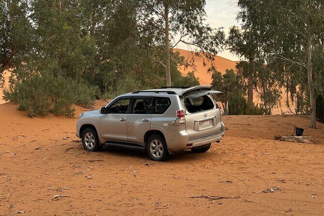 Merzouga 4X4 -Day Trip With Private Local Guide - The Sum Up