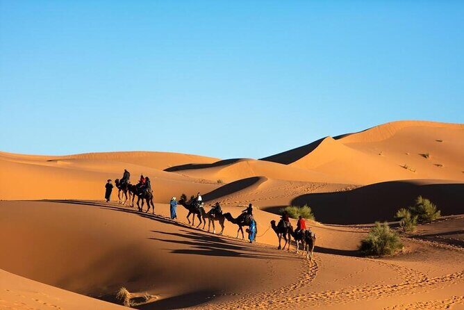Merzouga Camel Ride & Overnight Desert Camps - FAQ