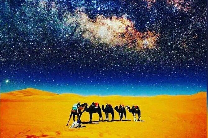Merzouga Camel Trekking 1 Night Experience - Additional Details: Costs and What’s Included