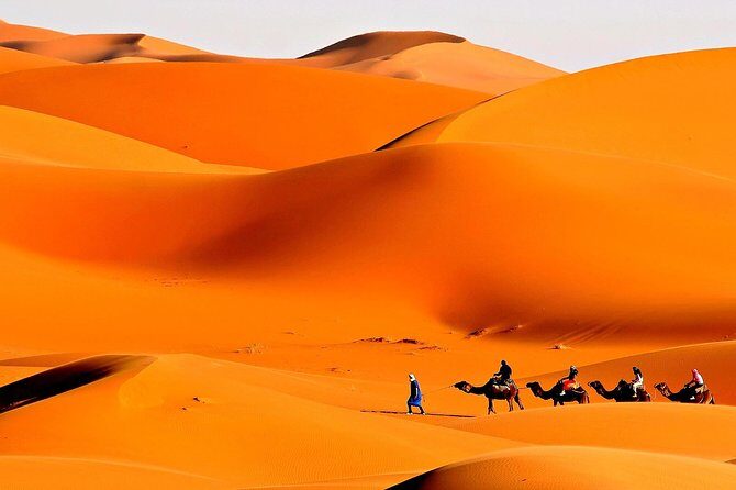 Merzouga Camel Trekking & Overnight Desert Camp - A Detailed Look at the Merzouga Camel Trekking & Desert Camp