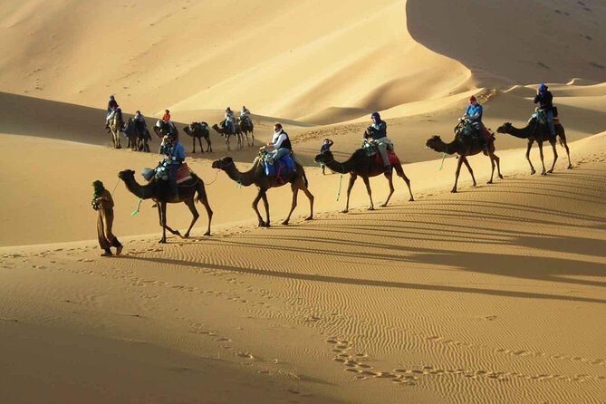 Merzouga Desert 3 days tour From Marrakech - Authenticity and Traveler Feedback