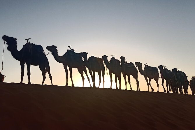 Merzouga Desert 3 days tour From Marrakech - Analyzing the Value