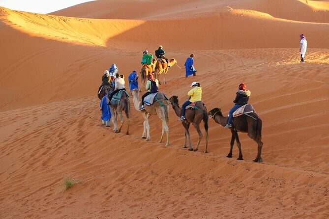 Merzouga Desert Campsite &Camel Excursions - Deep Dive into the Experience