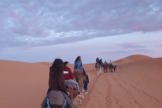 Merzouga Desert Campsite &Camel Excursions - Who Will Love This Tour?