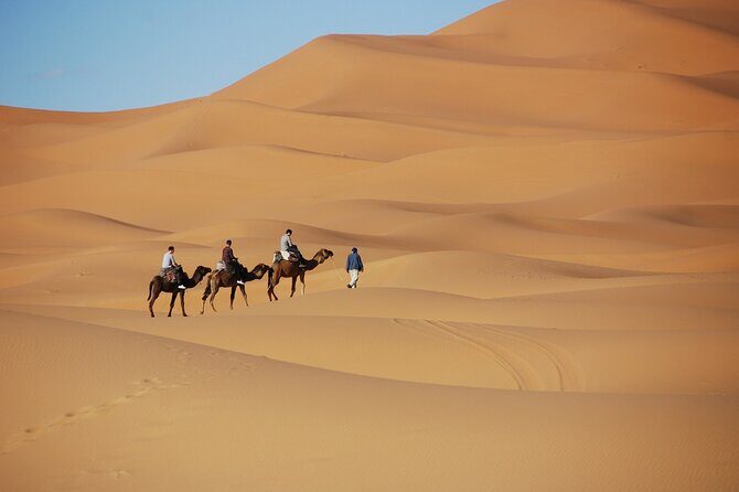 Merzouga Desert Campsite &Camel Excursions - The Sum Up: Is It Worth It?