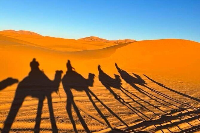 Merzouga Desert private 4 days Tour from Marrakech - What the Tour Means for Travelers