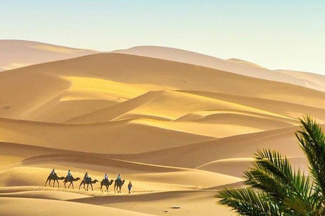 Merzouga Desert Private Tour From Marrakech 3 days and 2 Nights - Detailed Review of the Tour Experience
