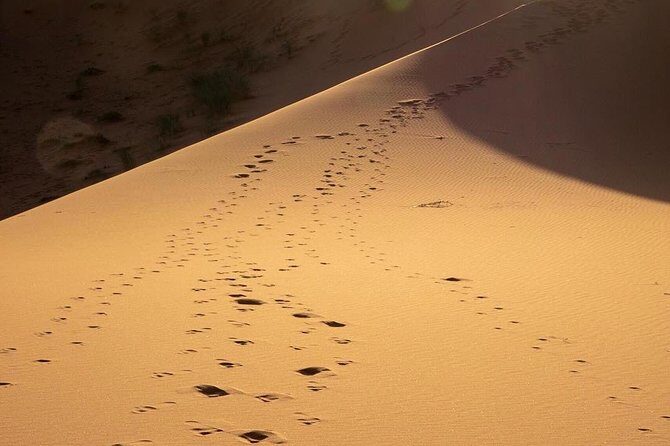 Merzouga Desert Private Tour From Marrakech 3 days and 2 Nights - What’s Included and What’s Not