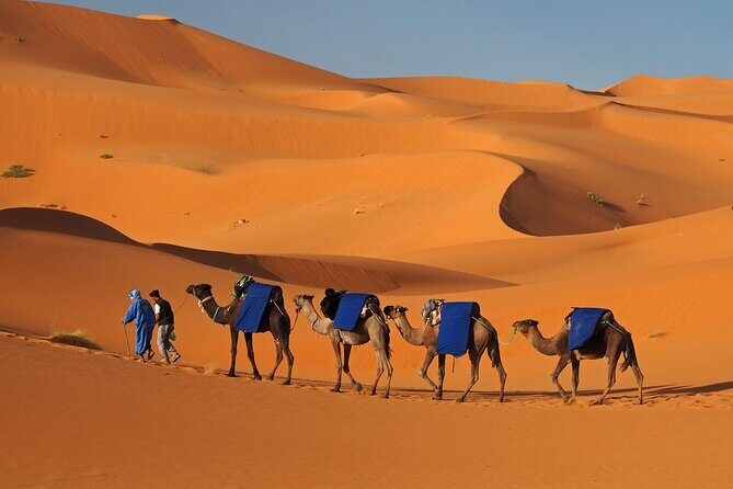 MERZOUGA DESERT TREK - 3 DAYS From Marrakech - What Makes This Tour Stand Out?
