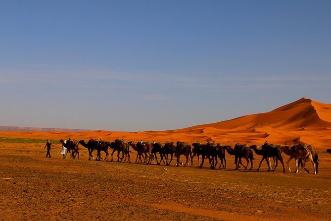 Merzouga Dunes and Berber Culture Private Day Trip with Lunch - FAQ
