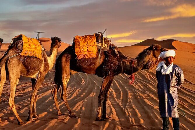 merzouga luxruy camp - Key Points