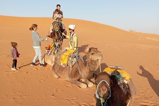 Merzouga Overnight: Desert Camp Stay & Camel Ride - Who Will Love This Tour?