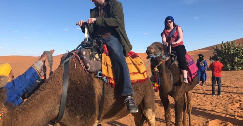 Merzouga: Overnight in Luxury camp with camels dinner - From the Reviews—What Travelers Say