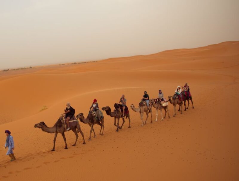 Merzouga Overnight Stay in a Berber Tent and Camel Ride - Who Should Consider This Tour?