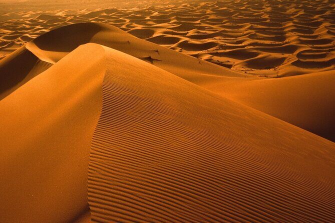 Merzouga Sahara Desert 2 Days Trip from Ouarzazate. - Early Morning Sunrise — A Desert Highlight