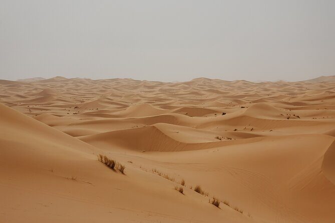 Merzouga Sahara Desert 3 Days Tour From Agadir. - An In-Depth Look at the 3-Day Sahara Tour