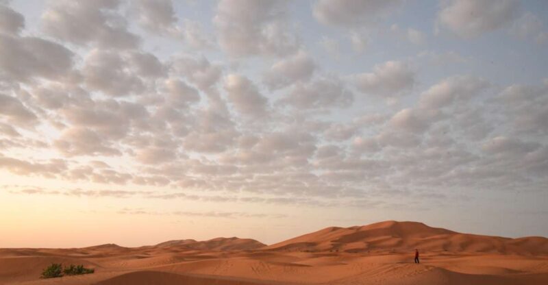 Merzouga sightseeing tour that shouldn't be missed - Exploring the Sahara: A Close-Up Look at the Merzouga Tour