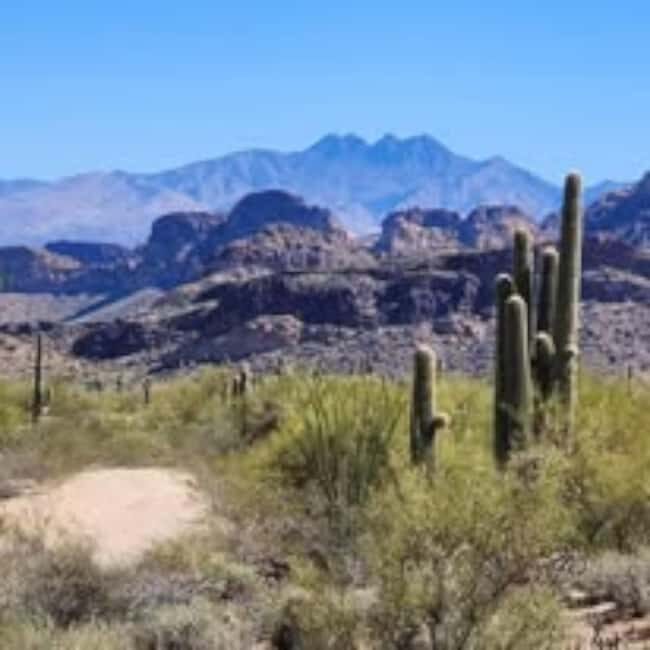 Mesa. AZ: Bulldog Canyon Off-Road Tour Scenic Superstitions - Practical Tips for a Great Experience