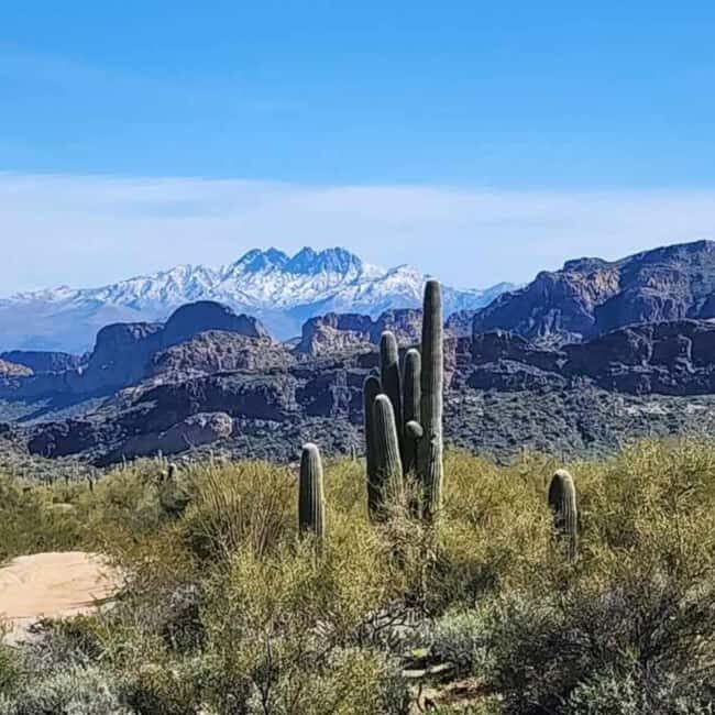 Mesa, AZ: Four Peaks Wilderness Off-Road Tour with Lunch - A Rugged Adventure in the Four Peaks Wilderness