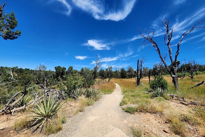 Mesa Verde National Park Self-Guided Audio Tour - Practical Considerations