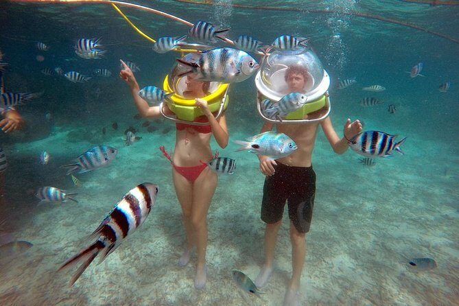 Mesmerizing Ile aux Cerf: Speed Boat, GRSE, Lunch & Undersea walk (Full Day) - Key Points