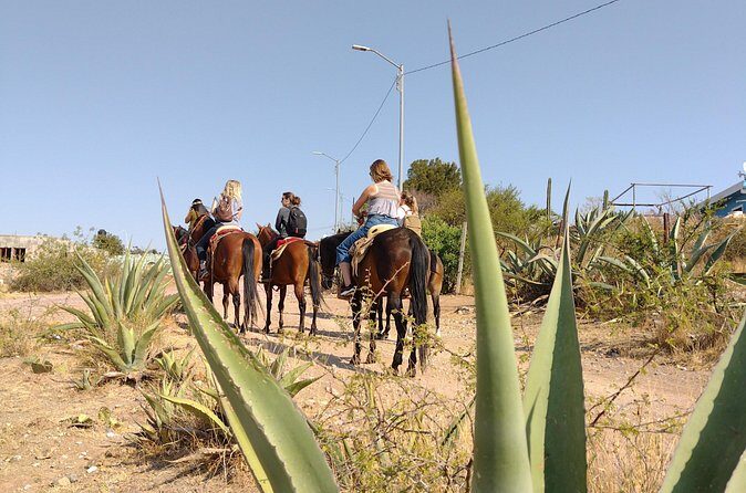 Mexican Equestrian Experience - Frequently Asked Questions